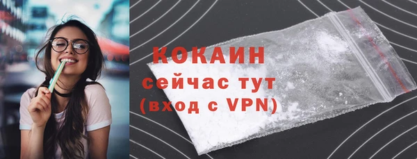 метамфетамин Ельня