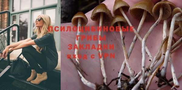 трава Дмитровск