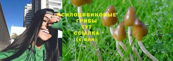 СК Дмитриев