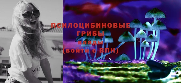 СК Дмитриев