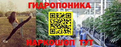 молекула духа Гусев
