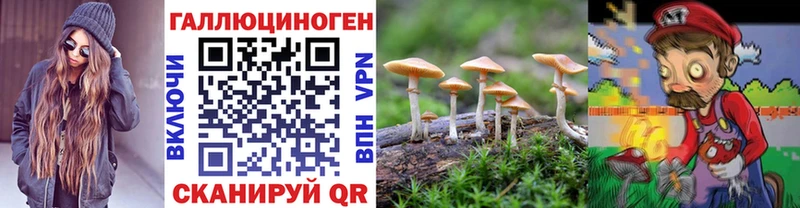 shop как зайти  дарнет шоп  Северобайкальск  Галлюциногенные грибы ЛСД 