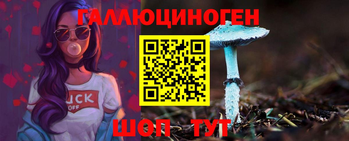 Галлюциногенные грибы Magic Shrooms  Вход с VPN  Северобайкальск 