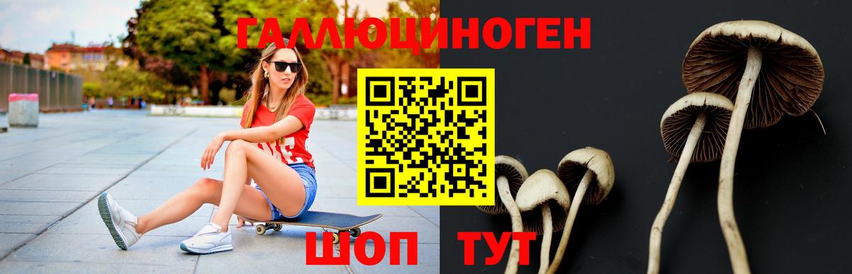 Галлюциногенные грибы ЛСД  Северобайкальск  Псилоцибиновые грибы прущие грибы 