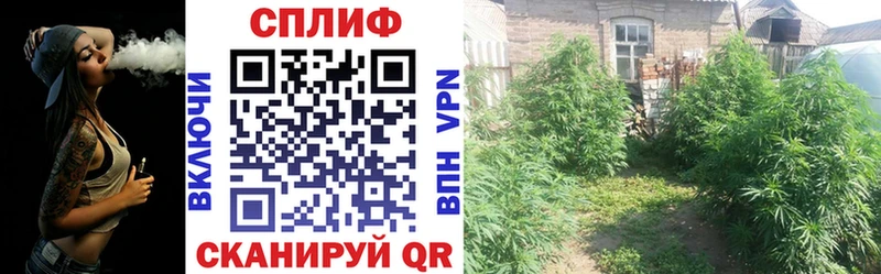 мега сайт  Северобайкальск  Конопля THC 21% 