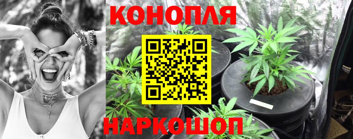 Северобайкальск  Шишки марихуана семена  Вход с VPN  Бошки Шишки тримм 